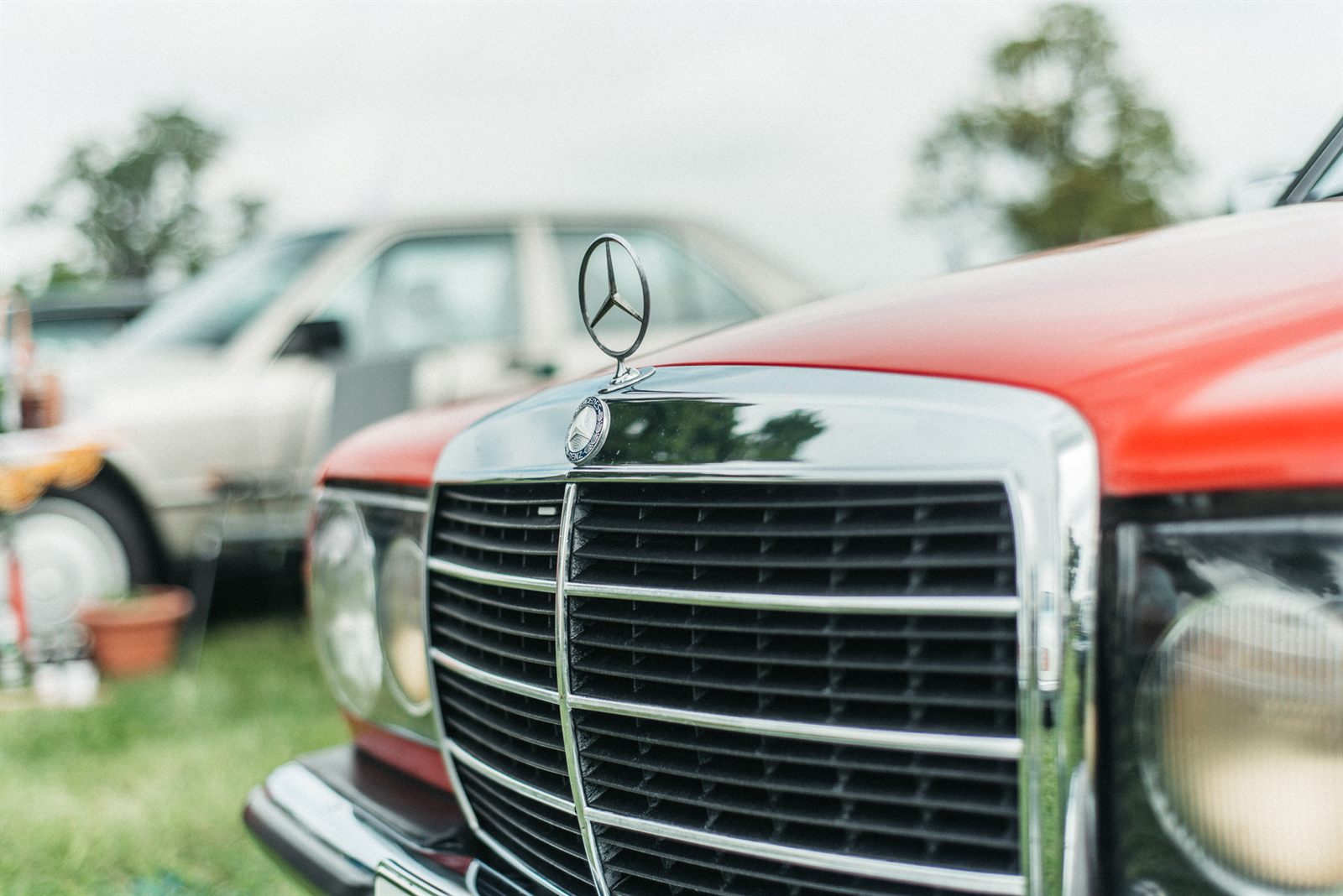 Close-up of the chrome Mercedes-Benz grille and star bonnet ornament on a red W123